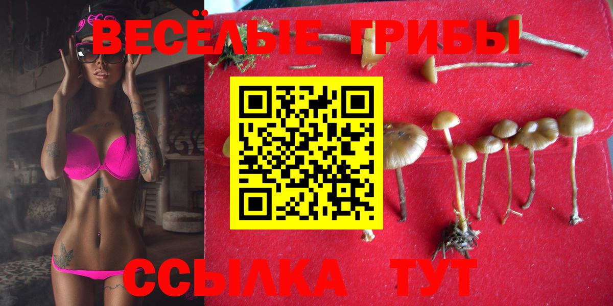 Галлюциногенные грибы GOLDEN TEACHER  Вход с VPN  Мичуринск 